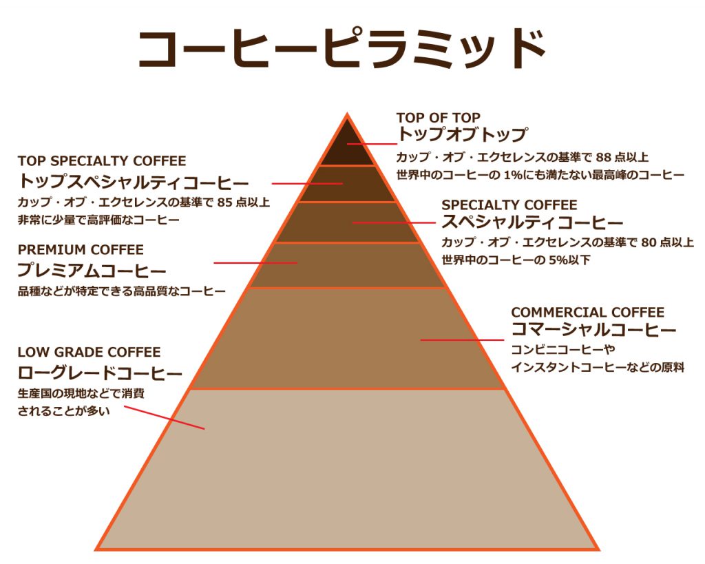 コーヒーピラミッド